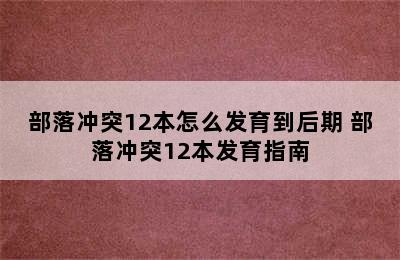 部落冲突12本怎么发育到后期 部落冲突12本发育指南